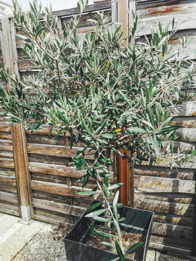 Appartement cosy + terrasse Grenoble Exterior foto